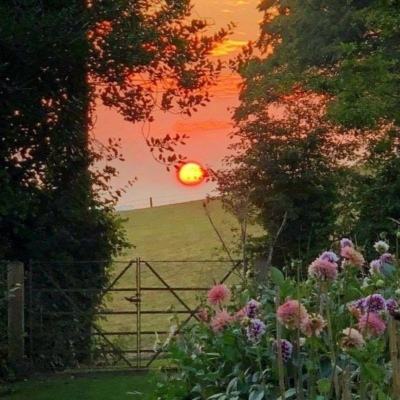 半岛bob综合登入手机app下载