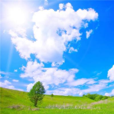 开运app官方登录入口