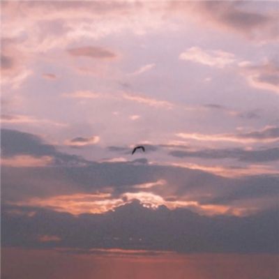 购彩中心手机app下载