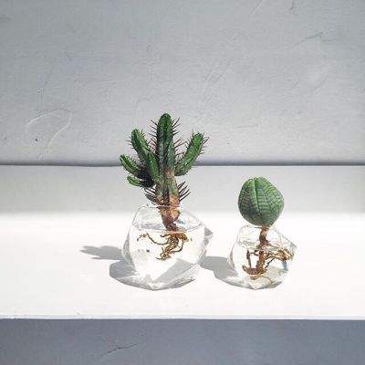 爱游戏app官方下载2.0.1