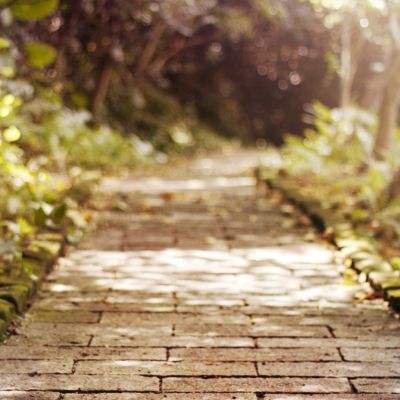 天博体育官方平台入口手机app下载